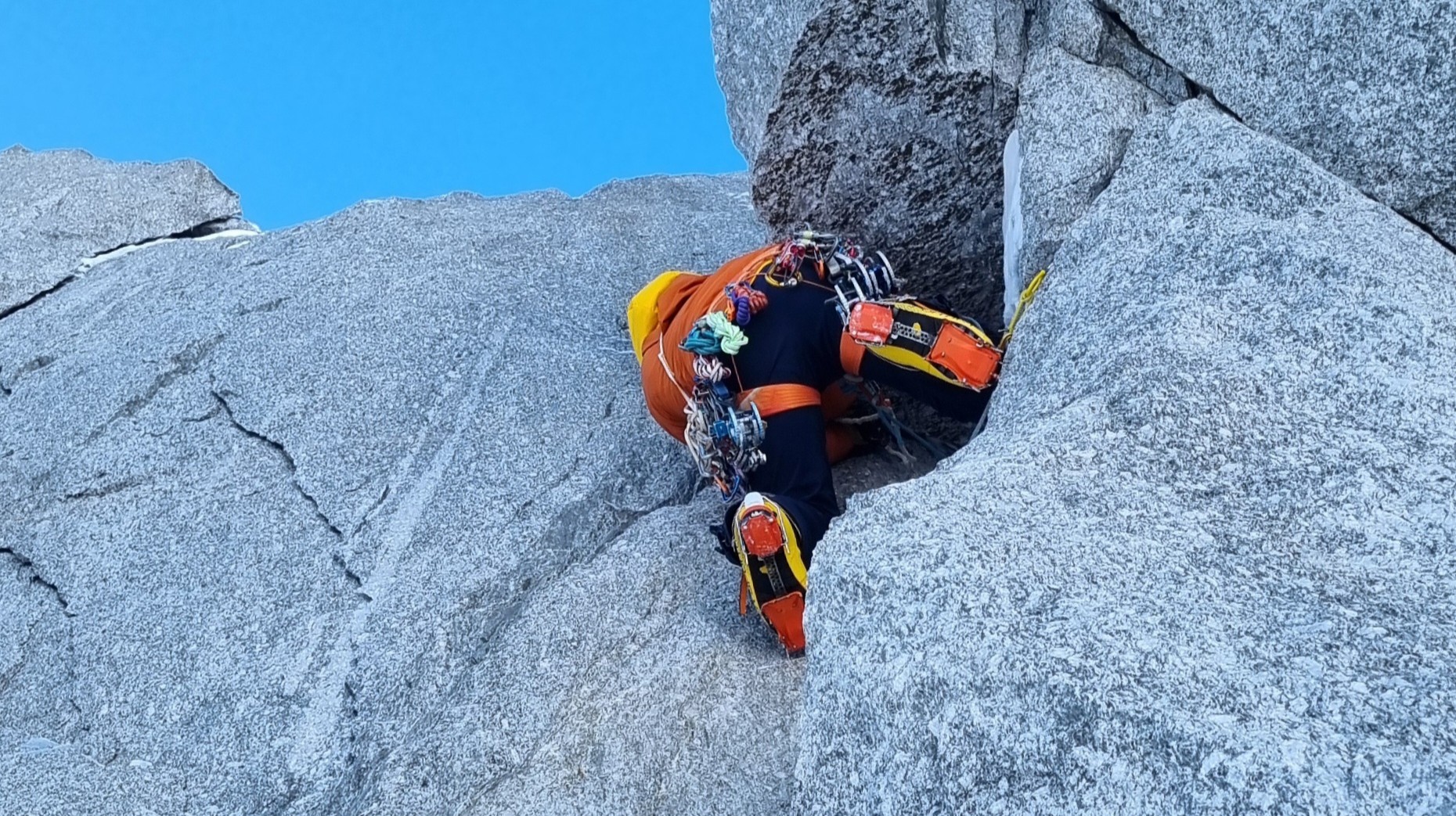 Petzl Dart