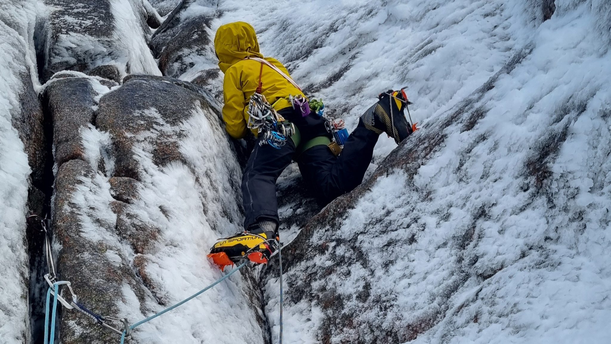 Petzl Dart (5) Petzl Dart